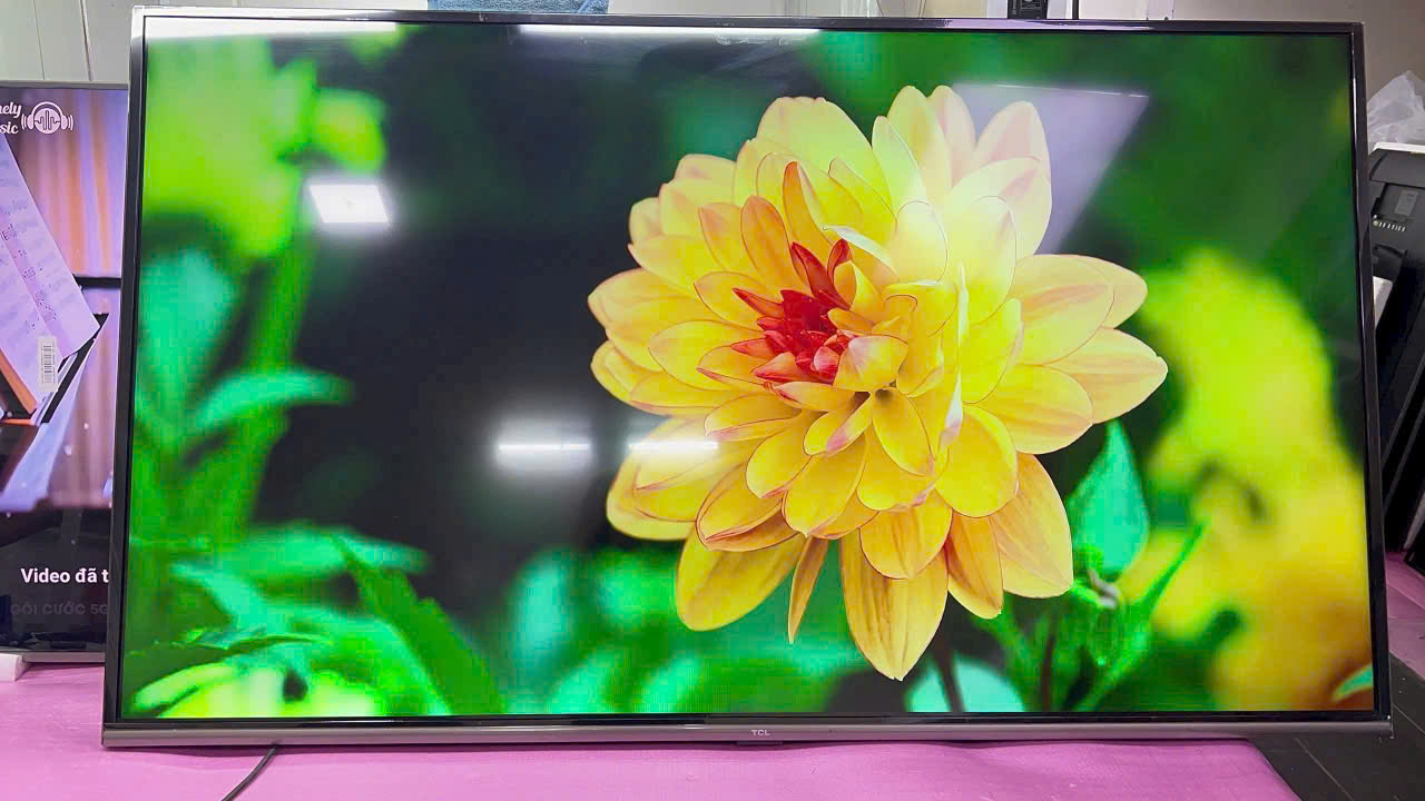 Cho Thuê Tivi Giá Rẻ tại TPHCM